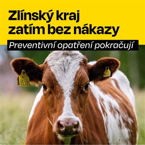 Cesty nákazy parazitmi