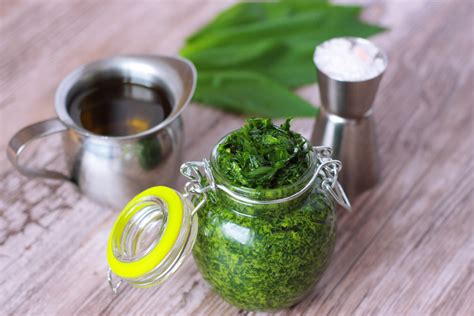 Pesto z medvedieho cesnaku