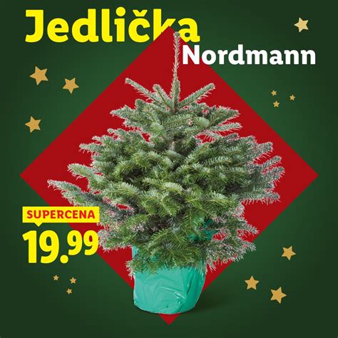 Zazimovanie kvetináča s jedličkou