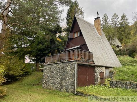 kvitnúca lúčna veronika v prírodnom prostredí