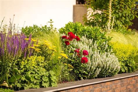 Záhon s náprstníkmi v polotieni