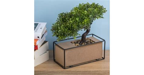 Kvetináč s rastlinou