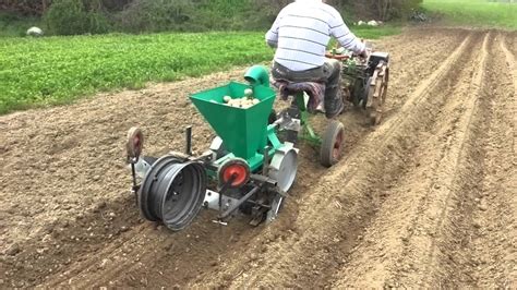 Sadenie zemiakov do vyvýšeného záhona