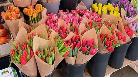 Zákazníčka drží v ruke kyticu čerstvých tulipánov z Lidla