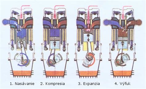 Schéma kvetného diagramu s popísanými časťami