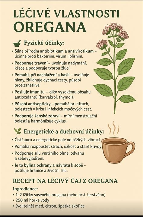 Infografika: Liečivé účinky oregana