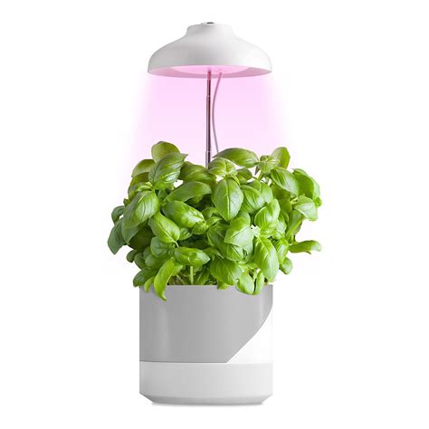 Rastové LED lampy pre pestovanie priesad v interiéri