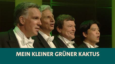 Zostava Kaktus Band na koncerte