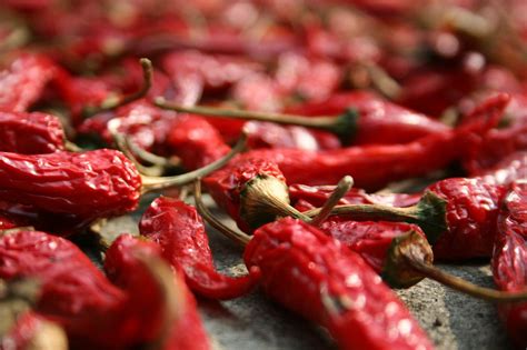 Sušené a konzervované chilli papričky