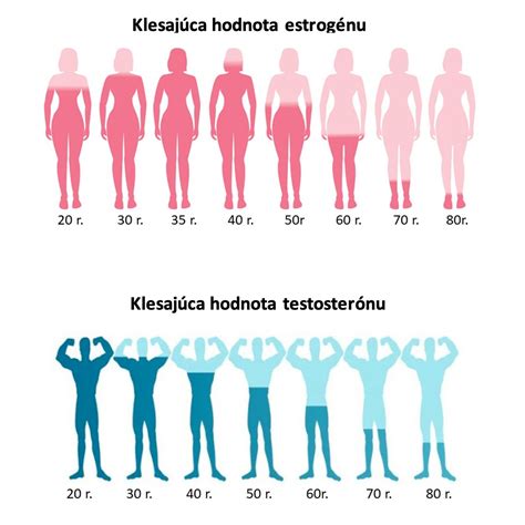Ilustrácia ženského reprodukčného systému a jeho hormonálnej regulácie