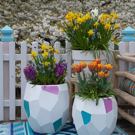 detailný záber na farebné tulipány a narcisy v záhone