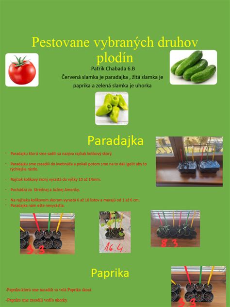 Schéma podpory pestovania bielkovinových plodín v rámci SPP