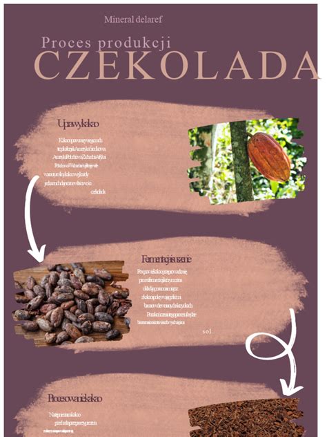 Infografika: Proces mykoremediácie a jeho fázy