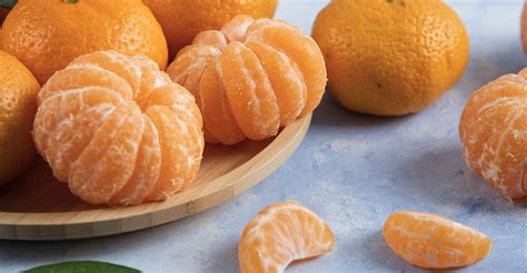 kvety mandarínky Unshiu