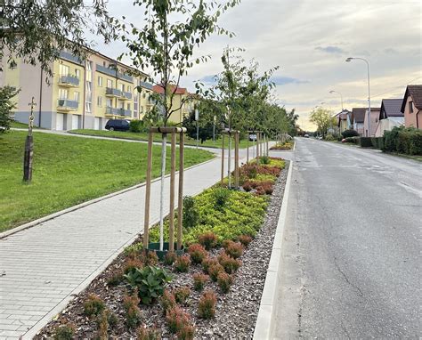 Mulčovanie a sprievodná výsadba