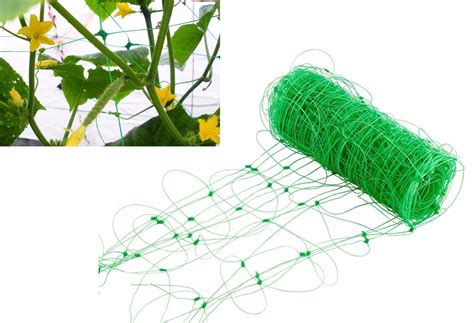 Vzorová schéma pre správne umiestnenie a oporu popínavých rastlín