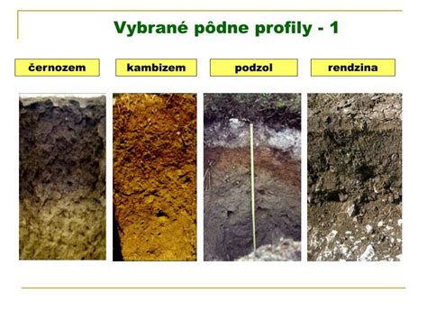 Typy pôd vhodných pre pestovanie maku