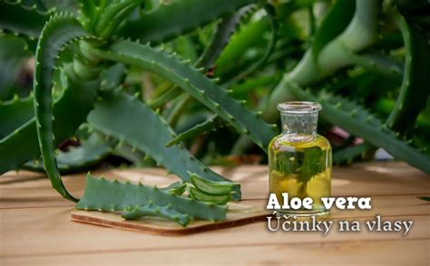 Aplikácia Aloe vera gélu na vlasy