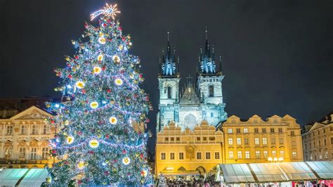 Infografika: TOP 10 najkrajších vianočných stromčekov podľa hlasovania