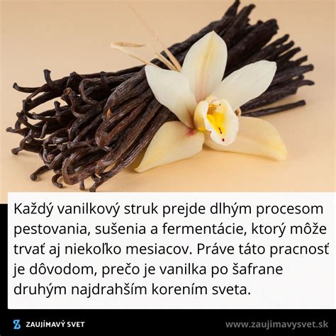 Vanilkové struky a ich vnútorná štruktúra