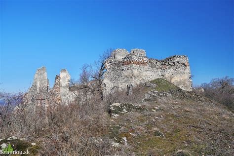 Galéria obrázkov rôznych byliniek s ich špecifickými požiadavkami