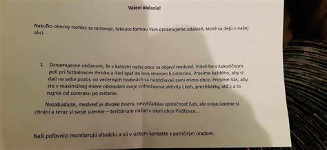 Upozornenie na kontraindikácie pri užívaní púpavy