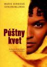 Film Púštny kvet - scéna z púšte