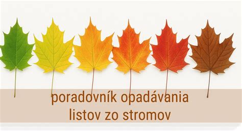 Ilustrácia problému opadávania listov