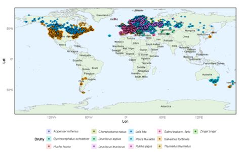 Mapa rozšírenia eukalyptu