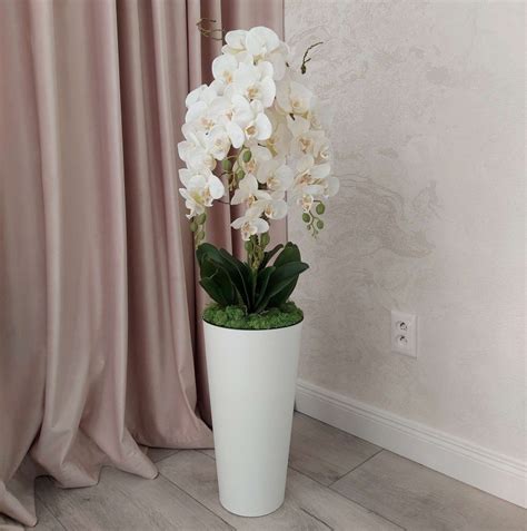 Orchidea v modernom interiéri