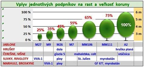 Infografika typov pôdy a ich vlastností