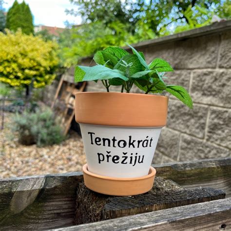 Kvetináč s rodinným šťastím