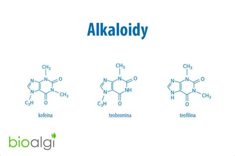 Alkaloidy v maku