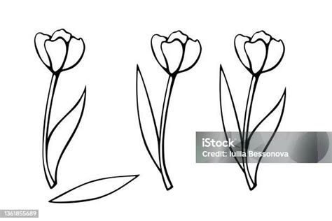 Hotové diely háčkovaného tulipánu: kvet, stopka a list