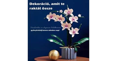 Rastlina v kvetináči ako darček pre muža
