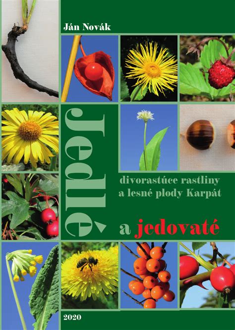 Infografika: Jedovaté záhradné rastliny