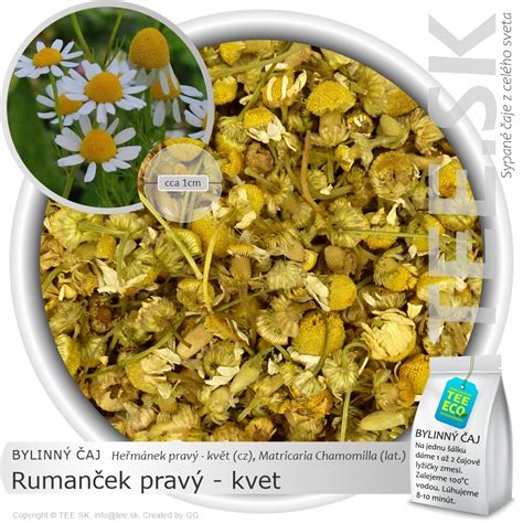 Kvitnúci rumanček pravý na lúke
