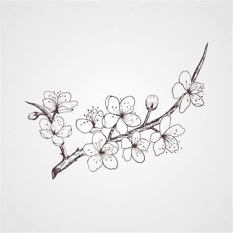sakura tetovanie