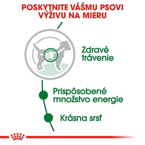 Ilustrácia anatomických problémov u malých plemien psov