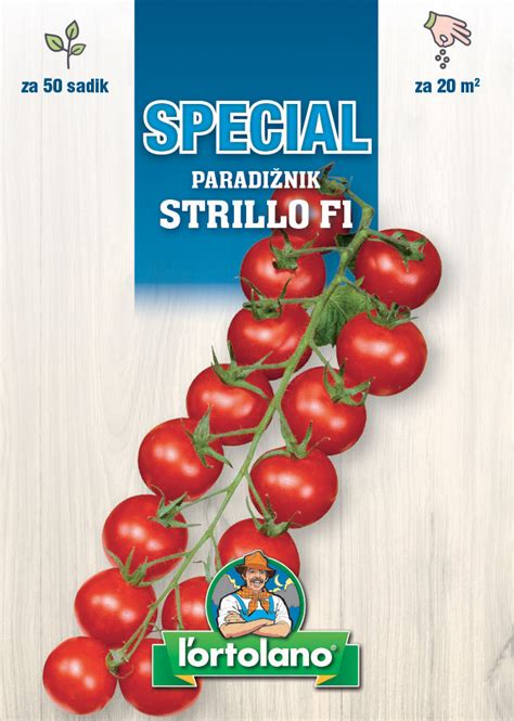 Detail strapca dozrievajúcich cherry paradajok Strillo F1