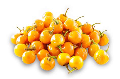 Čerstvé plody Aji Charapita