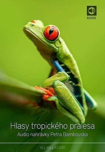 Ilustrácia tropického dažďového pralesa s florou a faunou