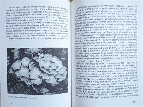 Ilustrácia pripravenej miestnosti na pestovanie húb