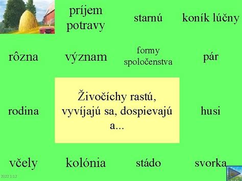 Rôzne formy rastu skalníka