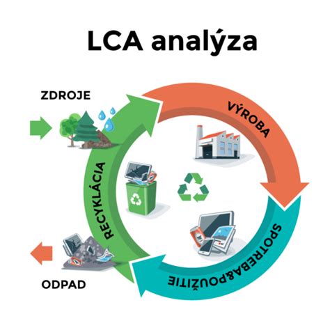 Schematické znázornenie životného cyklu myši