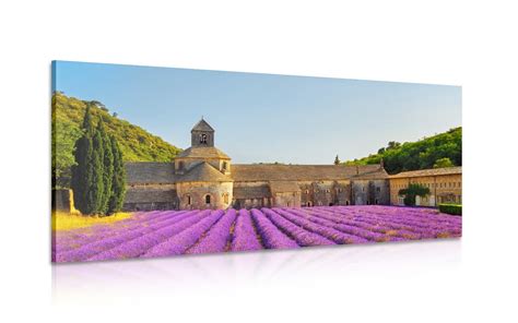 Mapa regiónu Provence s vyznačenými levanduľovými poľami