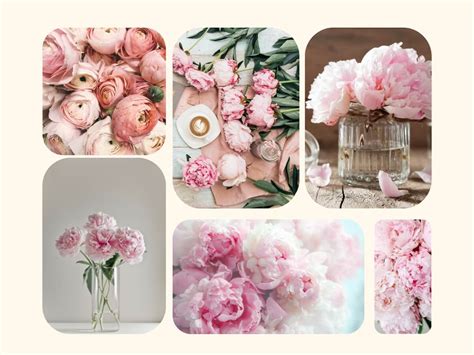 Koláž rôznych typov kvetov a rastlín