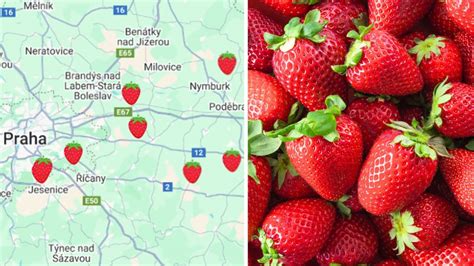 Mapa rozšírenia jahody obyčajnej