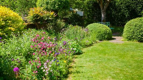 Záhon jahôd v záhrade