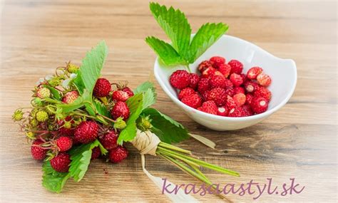 Zber jahodových listov